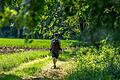 Einfach mal abschalten und den Alltag hinter sich lassen: 8 besondere Wanderrouten im Raum Schweinfurt machen es möglich.