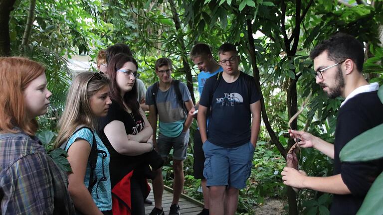 Im Tropenhaus des Botanischen Gartens in Würzburg wurde über die unterschiedlichen Pflanzen gesprochen. Im Tropenhaus des Botanischen Gartens in Würzburg wurde über die unterschiedlichen Pflanzen gesprochen. 