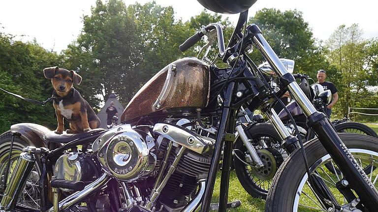 26. Harleytreffen: Straßenadler im Fahrtwind
