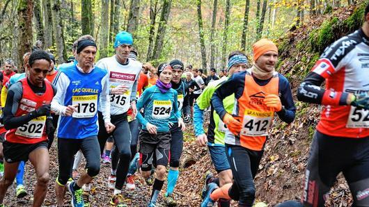 Gleich nach dem Start des Halbmarathons müssen die ersten Höhenmeter überwunden werden. Auch die spätere Gewinnerin Andrea Lutz (524) hat sich gleich mit unter die schnellsten Männer gemischt.