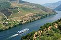 Flussfahrt auf dem Douro       -  Eine Landschaft voller rauer Schönheit: Der Douro wird zum Trendziel bei Flusskreuzfahrten. (Foto: Nicko Tours)