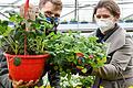 In der Gärtnerei Hupp in Höchberg (Lkr. Würzburg) zeigen Gärtnermeister Marcus Späth und Claudia Taeger, Marketingberaterin für Gartenbedarf am Amt für Ernährung, Landwirtschaft und Forsten in Kitzingen, was man jetzt auf Balkon und Terrasse anbauen kann.