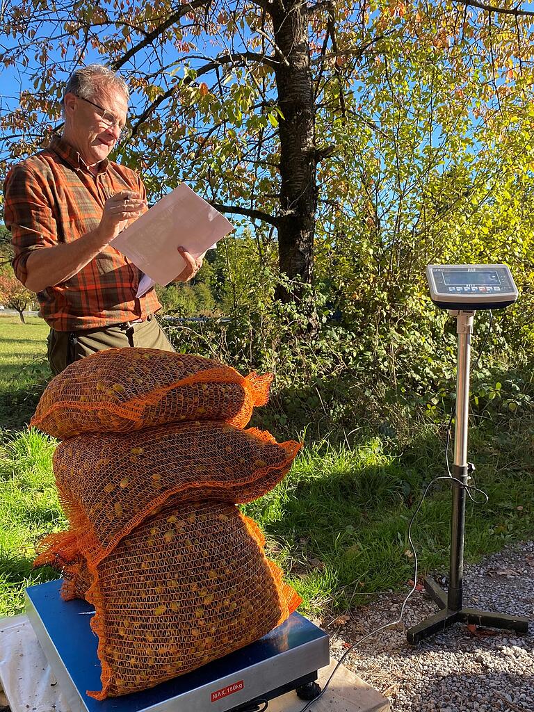 Die Sammlerinnen und Sammler bringen ihre Eichelernte in Kunststoffsäcken zur Waage. Förster Andreas Holzheimer notiert das Gewicht im Sammelbuch. Die Sammlerinnen und Sammler bringen ihre Eichelernte in Kunststoffsäcken zur Waage. Förster Andreas Holzheimer notiert das Gewicht im Sammelbuch.