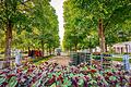 Bepflanzung Staatsbad Kissingen       -  Bepflanzung Staatsbad Kissingen