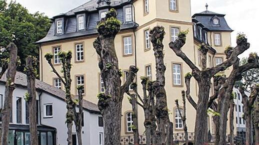 Der Lindensaal: Südlich vom Schloss.