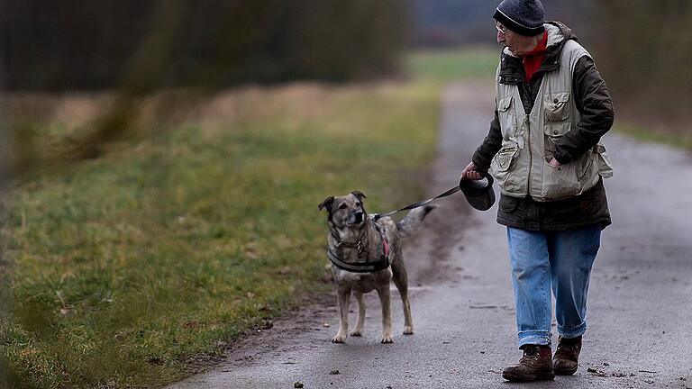 Mara ist der Lieblingshund von Erika Isigkeit. Dreimal in der Woche fährt die 84-Jährige ins Schwebheimer Tierheim, um mit den Hunden Gassi zu gehen. Mara ist der Lieblingshund von Erika Isigkeit. Dreimal in der Woche fährt die 84-Jährige ins Schwebheimer Tierheim, um mit den Hunden Gassi zu gehen.