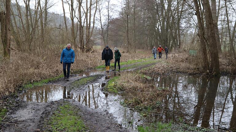 Der Bauausschuss begutachtete den durch Biberdämme aufgestauten Erlenbach. Ein Weg wird dadurch überschwemmt.