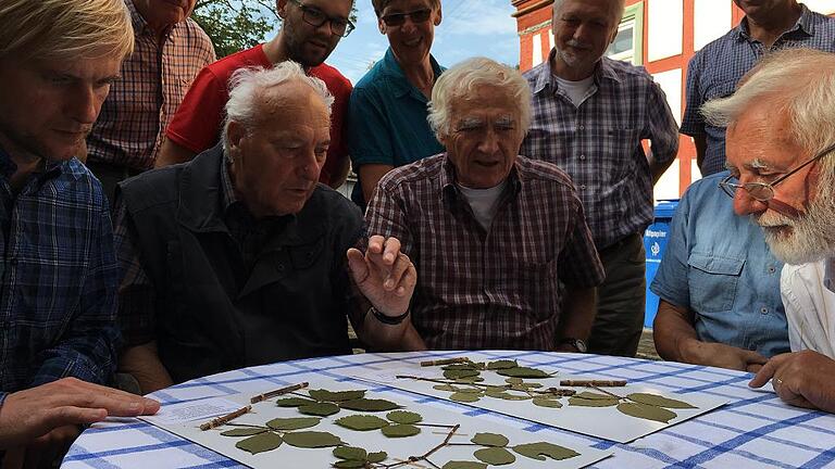 Brombeerforscher unter sich: Lenz Meierott (Mitte) mit Teilnehmern des 25. Rubus-Konzils in Nassach.