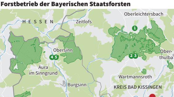 Der Forstbetrieb Hammelburg verwaltet rund 16.000 Hektar Staatswald in den Kreisen Bad Kissingen und Main-Spessart. Aufgeteilt ist der Wald in neun Reviere.       -  Der Forstbetrieb Hammelburg verwaltet rund 16.000 Hektar Staatswald in den Kreisen Bad Kissingen und Main-Spessart. Aufgeteilt ist der Wald in neun Reviere.