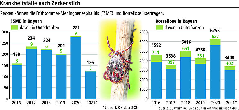 Entwarnung nach Rekordjahr: Warum es 2021 weniger Zeckenstiche gibt Entwarnung nach Rekordjahr: Warum es 2021 weniger Zeckenstiche gibt