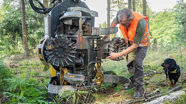 Revierleiter Wolfgang Handwerk inspiziert den Arbeitskopf des Harvesters. Jagdhund Sammy ist neugierig immer in seiner Nähe.