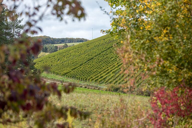 Die Weinberge in Mainfranken sind charakteristisch für die Region und prägen mit ihren Rebhängen das Bild und den Ruf dieser traditionsreichen Weinanbaugegend.&nbsp;