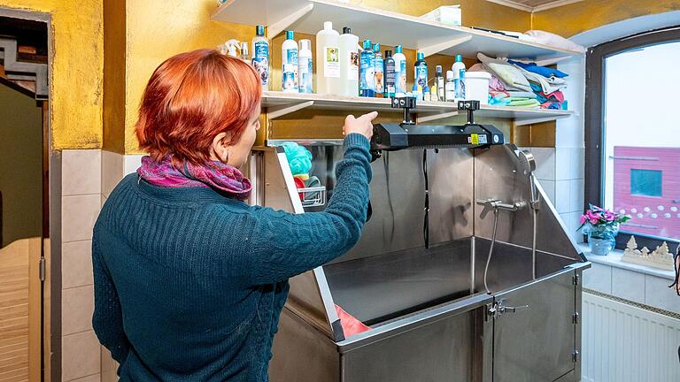 Barbara Fiedler bietet verschiedene Services rund um die Fell-, Pfoten- und Ohrenpflege des Hundes an.