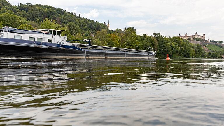 Heizt sich das Wasser zwischen den 30 Staustufen des Mains immer weiter auf und sinkt gleichzeitig der Sauerstoffgehalt im Wasser, drohen Fische und Kleinlebewesen zu ersticken.