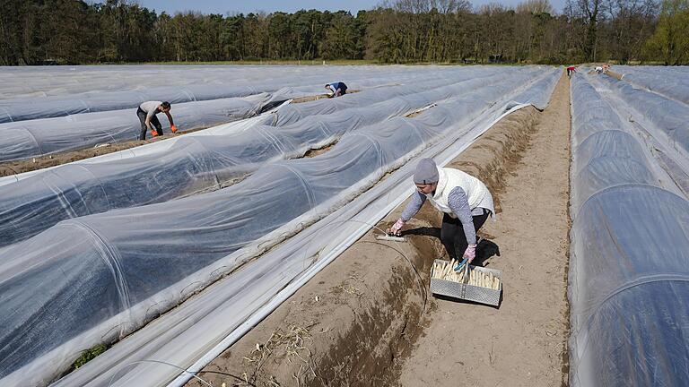Ob für die Spargel- oder Erdbeerernte, ausländische Saisonarbeiter in der Landwirtschaft zu beschäftigen, ist in Deutschland gang und gäbe. Aber wie sind sie in Zeiten von Corona untergebracht? Ob für die Spargel- oder Erdbeerernte, ausländische Saisonarbeiter in der Landwirtschaft zu beschäftigen, ist in Deutschland gang und gäbe. Aber wie sind sie in Zeiten von Corona untergebracht?