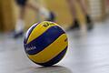 Volleyball