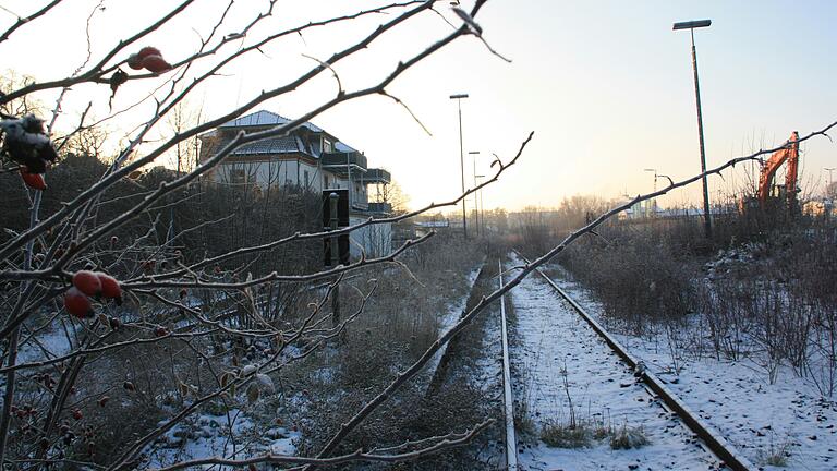 In der Frage, wie es mit der Trasse der Steigerwaldbahn weitergeht, herrscht nach wie vor Winterstarre. Das Bild zeigt die Gleise am früheren Bahnhof in Gerolzhofen, bevor dort eine Querungshilfe für Fußgänger gebaut wurde. In der Frage, wie es mit der Trasse der Steigerwaldbahn weitergeht, herrscht nach wie vor Winterstarre. Das Bild zeigt die Gleise am früheren Bahnhof in Gerolzhofen, bevor dort eine Querungshilfe für Fußgänger gebaut wurde.