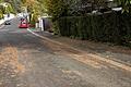 Eine Zeder verursacht vor allem im Herbst Schmutz auf Straße und Gehweg.