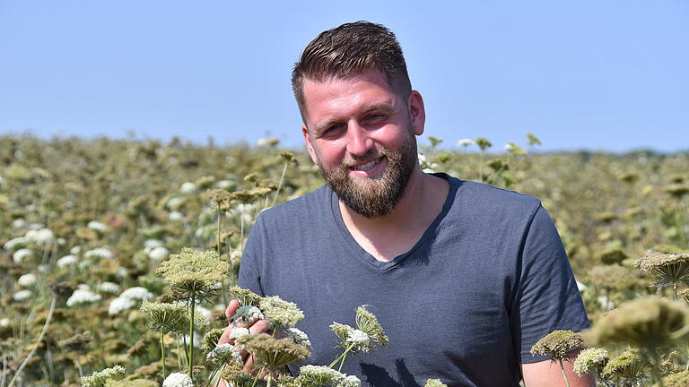 Michael Stolzenberger, Kreisobmann des Bayerischen Bauernverbandes im Landkreis Würzburg, in einem Feld zur Möhrensaatgutgewinnung. Er bietet Patenschaften für Blühflächen an. Michael Stolzenberger, Kreisobmann des Bayerischen Bauernverbandes im Landkreis Würzburg, in einem Feld zur Möhrensaatgutgewinnung. Er bietet Patenschaften für Blühflächen an.