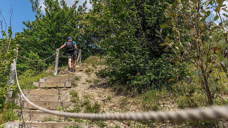 Anstieg zum Weyhershauck, einen knapp 420 Meter hohen Gipfel aus Muschelkalk. Der Weyershauk zählt zu den wertvollsten Gebieten im Biosphärenreservat Rhön. Anstieg zum Weyhershauck, einen knapp 420 Meter hohen Gipfel aus Muschelkalk. Der Weyershauk zählt zu den wertvollsten Gebieten im Biosphärenreservat Rhön.