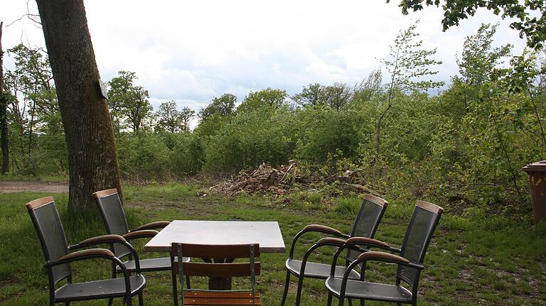 Das Foto zeigt, nahe der Bereich der gefällten Bäume dem Sitzbereich des Bierkellers ist. Windböen hätten abbrechendes Totholz leicht bis zu den Besuchern des Biergartens tragen können.