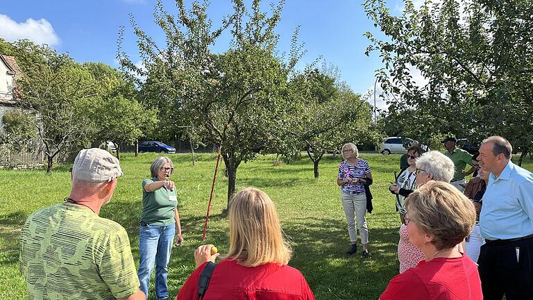 Am Anfang steht die Streuobstwiese. Ingrid Bold führt ihre Besuchergruppe dort hin und erklärt: „Gute Frucht-Qualitäten kommen von gepflegten Streuobstbeständen und lassen sich leicht ’abschütteln’. Nur voll reif sind sie gut genug für eine ausgez...       -  Am Anfang steht die Streuobstwiese. Ingrid Bold führt ihre Besuchergruppe dort hin und erklärt: „Gute Frucht-Qualitäten kommen von gepflegten Streuobstbeständen und lassen sich leicht ’abschütteln’. Nur voll reif sind sie gut genug für eine ausgezeichnete Qualität der Obst-Brände.“