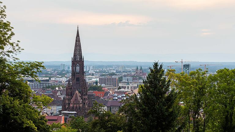 Das Freiburger Münster - und am Horizont zeichnen sich die französischen Vogesen ab.