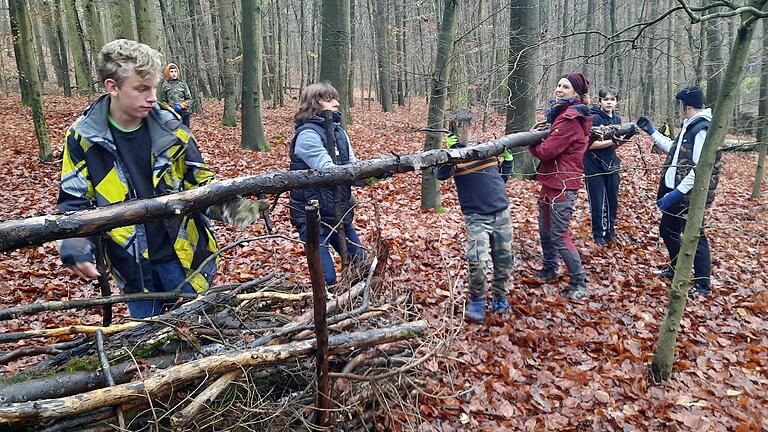 Mit dicken und dünnen Zweigen und Ästen bauten die Schüler des Modoclubs eine zehn Meter lange Benjeshecke.