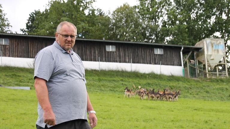 Manfred Wolf in einem seiner Damwild-Gehege in Mittelsinn, in das vermutlich ein Wolf eingebrochen ist.