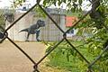 Ein Tyrannosaurus Rex in seiner tatsächlichen Größe: Graffito von Jamie Paul Scanlon und Stefanie Scanlon an der Kläranlage in Hausen, gesprüht im April 2020.