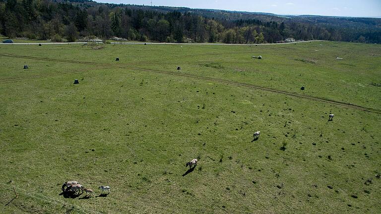 Der Brönnhof mit der zentralen 300 Hektar großen Freifläche. Der Brönnhof mit der zentralen 300 Hektar großen Freifläche.