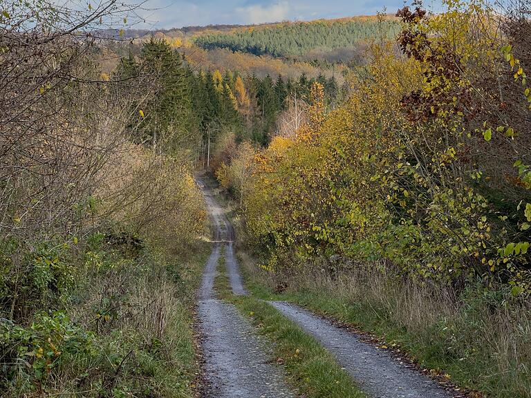 Zu jeder Jahreszeit einen Ausflug oder eine Spazierfahrt wert: der Gramschatzer Wald. Zu jeder Jahreszeit einen Ausflug oder eine Spazierfahrt wert: der Gramschatzer Wald.