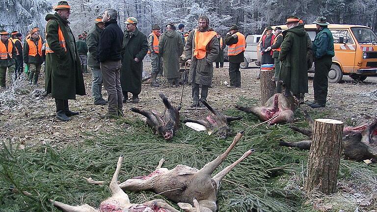 Jagd1 - Die geforderten Abschusszahlen sind zu hoch, klagen die Jäger in der Kreisgruppe Kitzingen. Ergebnisse wie hier, bei einer Drückjagd im Spessart, könnten nicht immer erzielt werden. Schon gar nicht in waldarmen Gebieten wie der Fränkischen Platte. Jagd1 - Die geforderten Abschusszahlen sind zu hoch, klagen die Jäger in der Kreisgruppe Kitzingen. Ergebnisse wie hier, bei einer Drückjagd im Spessart, könnten nicht immer erzielt werden. Schon gar nicht in waldarmen Gebieten wie der Fränkischen Platte.