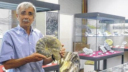 Steinreich: Der Paläontologe Professor Gerd Geyer mit einem Ceratiten aus dem mineralogischen Museum an der Hubland-Uni, einem der typischen fossilen Fundstücke im fränkischen Muschelkalk.