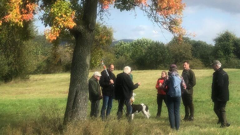 Ein alter mächtiger Birnbaum in Herbstfärbung war das Ziel der Obstfreunde in der Feldflur von Aidhausen. Ein alter mächtiger Birnbaum in Herbstfärbung war das Ziel der Obstfreunde in der Feldflur von Aidhausen.
