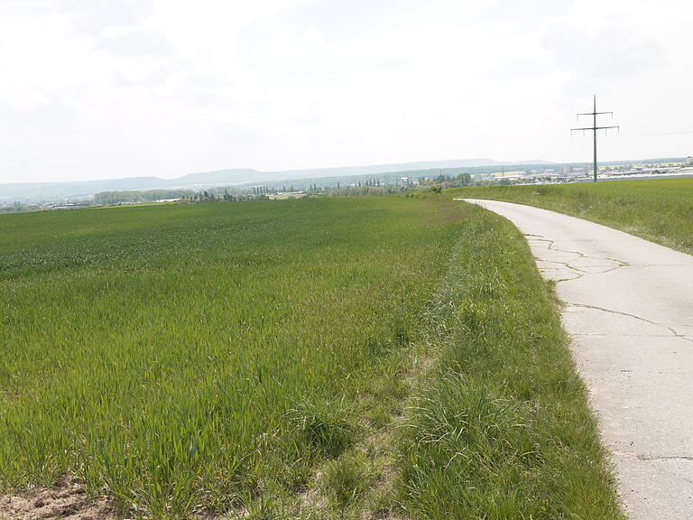 Der Stadtrat Haßfurt hat den Antrag einer oberfränkischen Firma, die eine Photovoltaik-Anlage in der Gemarkung Prappach bauen wollte, abgelehnt. Vorgesehen war unter anderem das Feld links des Weges. Der Stadtrat Haßfurt hat den Antrag einer oberfränkischen Firma, die eine Photovoltaik-Anlage in der Gemarkung Prappach bauen wollte, abgelehnt. Vorgesehen war unter anderem das Feld links des Weges.