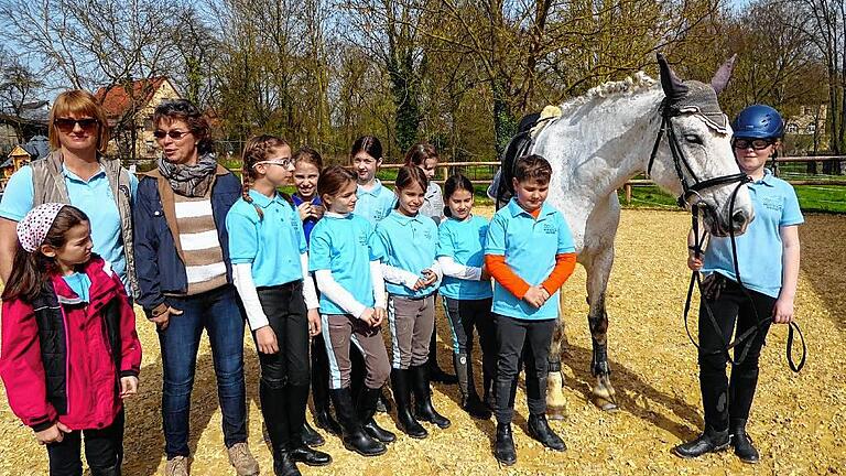 Ihr Können im Sattel gezeigt       -  (hag)   Bei den Prüfungen auf dem Reiterhof Hilpert waren Wissen rund um das Pferd und Können im Sattel gefragt. Die Prüfungen nahm Renate Ackermann (Iffigheim) ab. Die Richterin war zufrieden mit den Leistungen der Prüflinge, die Daniela Hilpert vorbereitet hatte. Den Basispass erhielten: Karla Herbst, Carlina Tarolli, Betty Herbst, Hannah Zehnter, Magdalena Vogel, Tina Spranz, Lena Amon, Linda Ganter, Tanja Dürr und Conny Landwehr. Das Reitabzeichen (RA) 6 erwarben sich Karla Herbst und Antonia Raps. Das RA 7 absolvierten Betty Herbst, Hannah Zehnter und Antonia Igers. Die Prüfungshürde für das RA 8 nahmen Magdalena Vogel, Sarah Scheugenpflug, Natalie Bätz, Laura Ising, Elena Ising, Marlene Weimert, Carolin Weimert, Larissa Landwehr, Viola Bätz, Anna Landsmann, Miriam Stapf und als einziger Junge unter den 22 Amazonen der neunjährige Julian Fellner. Das Foto zeigt die Nachwuchsreiter mit (von links) Daniela Hilpert und Renate Ackermann.