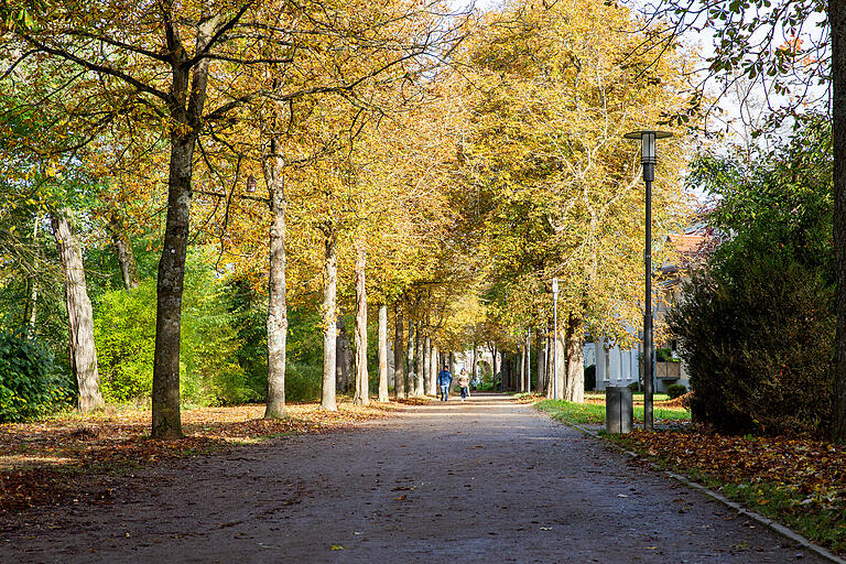 Durch eine Allee geht es in Richtung Gradierwerk. Durch eine Allee geht es in Richtung Gradierwerk.