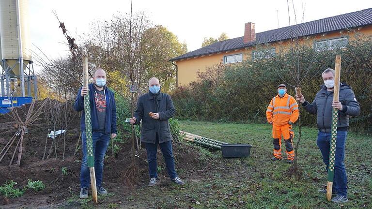 Bürgermeister Daniel Wehner übergab Obstbäume an junge Eltern. Das Bild zeigt Tobias Metzler, der den Baum für Sohn Leon in Empfang nahm, Bauhofmitarbeiter Marco Köth und Christoph Voll, der den Baum für Sohn Anton entgegen nahm.  Foto: Marion Eckert       -  Bürgermeister Daniel Wehner übergab Obstbäume an junge Eltern. Das Bild zeigt Tobias Metzler, der den Baum für Sohn Leon in Empfang nahm, Bauhofmitarbeiter Marco Köth und Christoph Voll, der den Baum für Sohn Anton entgegen nahm.  Foto: Marion Eckert