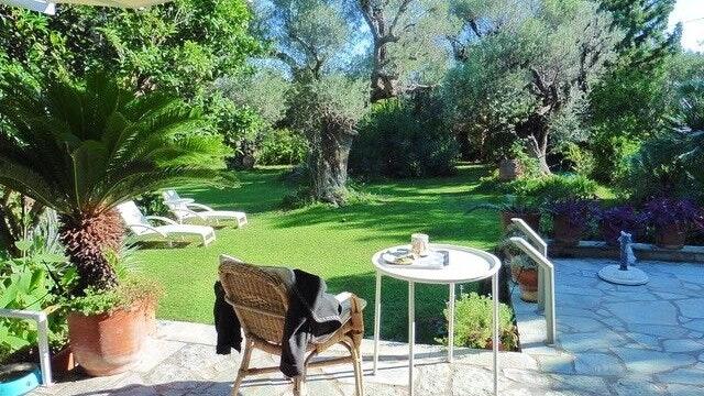Von Turetscheks Terrasse aus hat man einen herrlichen Blick in den Garten. Von Turetscheks Terrasse aus hat man einen herrlichen Blick in den Garten.