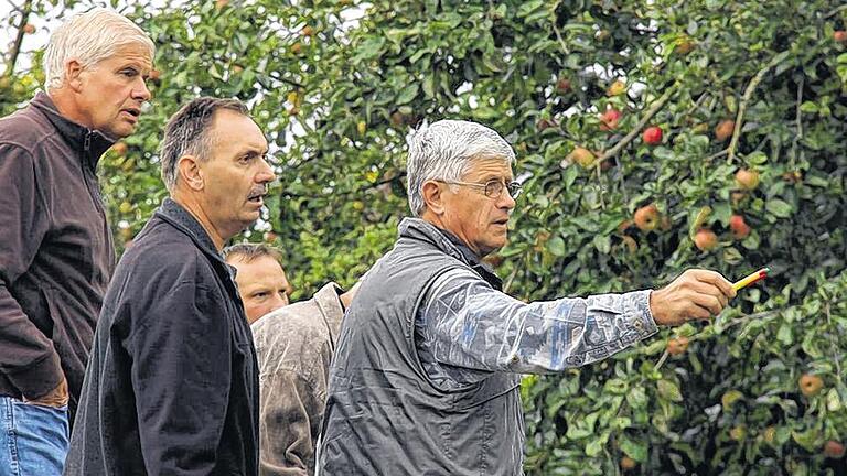 Versteigerungstermin bei Untererthal: (von links) Steigerer Wolfgang Jachmann, Kassier Gerhard Beck, Ralph Brehm (hinten) und Versteigerer Edwin Fella, der Vorsitzende des Obst- und Gartenbauvereins.