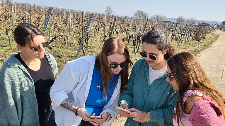 Den letzten Buchstaben für die erste Schatzkiste finden die vier Wein-Jägerinnen in den Weinbergen Richtung Vogelsburg. Den letzten Buchstaben für die erste Schatzkiste finden die vier Wein-Jägerinnen in den Weinbergen Richtung Vogelsburg.