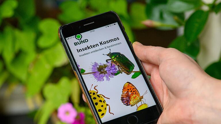App &bdquo;BUND Insekten Kosmos&rdquo;       -  Die App &bdquo;BUND Insekten Kosmos&rdquo; hilft beim Bestimmen heimischer Insektenarten - in der Basisversion ist sie kostenlos.