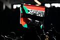 Super Bowl - Philadelphia Eagles - Kansas City Chiefs       -  Protest beim Superbowl