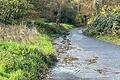 Im Oktober und November floss eine große Menge Wasser vom neuen Pumpwerk über den Unteren Dallenbergweg.&nbsp;