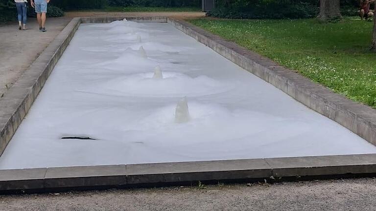 Unbekannte haben im Juni Spülmittel in eines der Wasserbecken im Ringpark in Würzburg geschüttet.