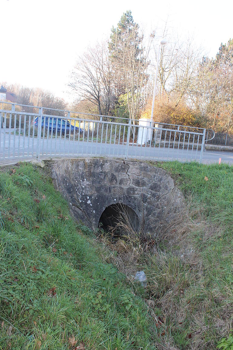 Pflegebedarf: Die Bäche, Gräben und Durchlässe, wie hier an der Alten Abtswinder Straße, sollen in Wiesentheid künftig naturverträglich gepflegt werden.