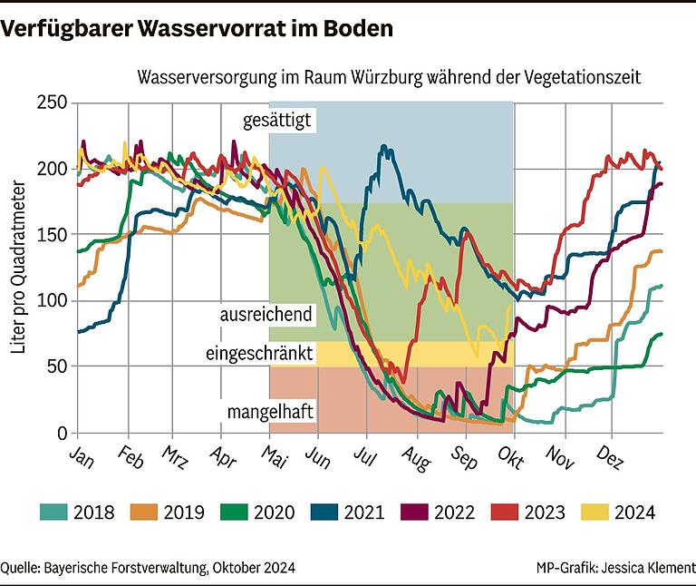 Umstrittene Fällaktion im Guttenberger Wald: War es Kahlschlag oder eine Maßnahme gegen das Buchensterben?