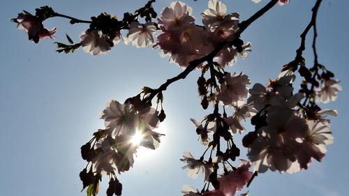 Frühlingssonne       -  Der Frühling ist da und hat viel Sonne mitgebracht. Ideal,...