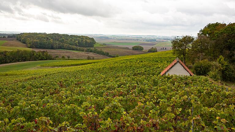 Auch schön bei Wolken im Herbst: Blick auf die Weinberge und ins Tal.